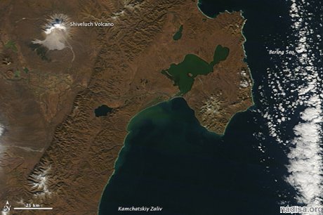 Спутник НАСА сфотографировал многокилометровый шлейф пепла вулкана Шивелуч