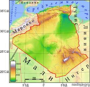 емлетрясение магнитудой 5,1 произошло в Алжире