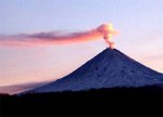 100 локальных землетрясений зафиксировано на вулкане Шивелуч (Камчатка)