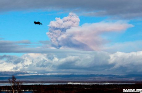 Вулкан Шивелуч на Камчатке вновь бросается пеплом