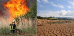 В 2014 году мир ждут засуха и пожары