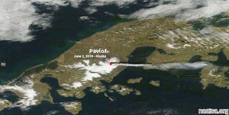 На вулкане Павлова впервые за 5 лет объявлен красный код опасности