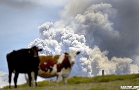 Уходящий 2015 был годом мощнейших извержений вулканов