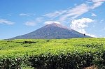 В Индонезии активизировался вулкан Керинчи