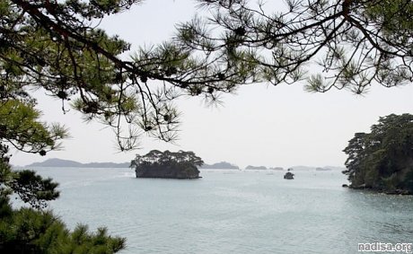 У берегов Японии зафиксировано землетрясение магнитудой 5,5