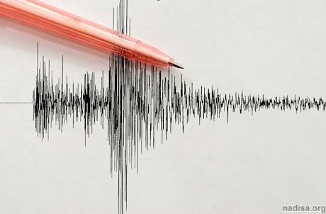 У берегов Тонга произошло землетрясение магнитудой 5,5