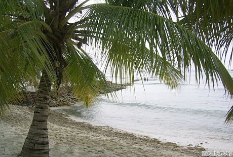 У берегов Доминики зафиксировано землетрясение магнитудой 5,6
