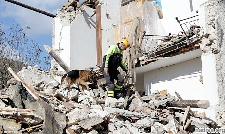 Из-за землетрясения в Италии без крыши над головой остались 4 тыс. человек
