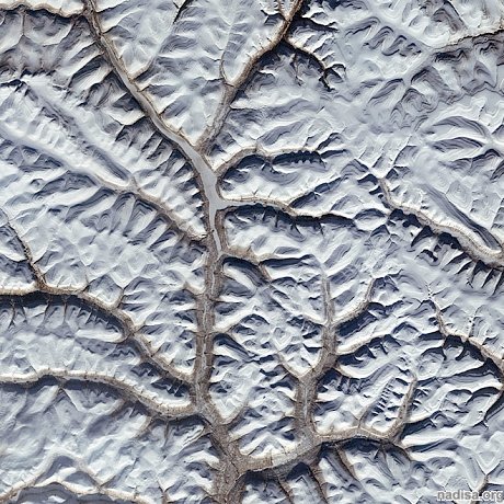 Ветвистый и замерзший пейзаж Сибири — фото со спутника