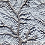 Ветвистый и замерзший пейзаж Сибири — фото со спутника