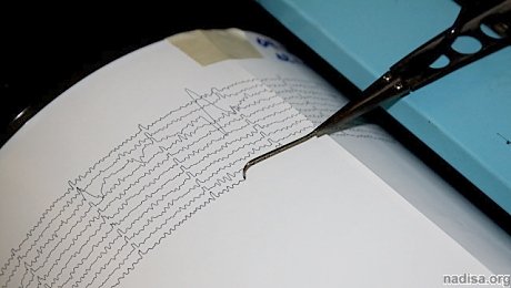 У берегов Японии произошло землетрясение магнитудой 7,3