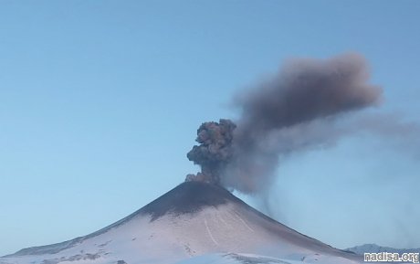 Камчатский вулкан Ключевская Сопка выбросил столб пепла на высоту 7 км