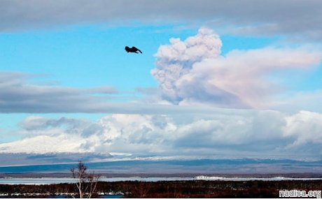 Камчатский вулкан Шивелуч выбросил столб пепла на высоту 7 км