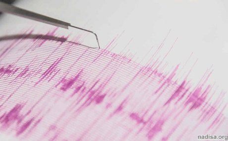 У берегов Тонга произошло землетрясение магнитудой 5,2