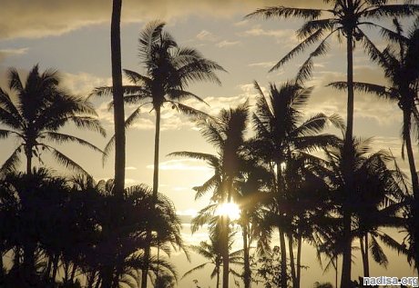 У берегов Фиджи зафиксировано землетрясение магнитудой 5,1