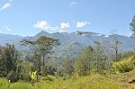 В Папуа-Новой Гвинее зафиксировано землетрясение магнитудой 5,9