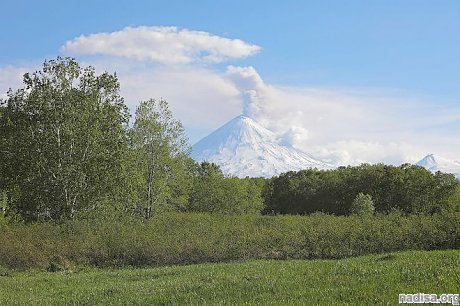 Вулкан Ключевской на Камчатке выбросил 5-километровый столб пепла