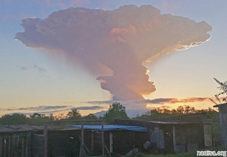 Камчатский вулкан Шивелуч выбросил 8-километровый столб пепла