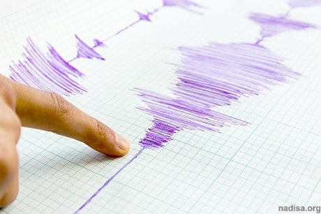 У побережья Камчатки произошло землетрясение