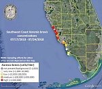 Worst red tide since 2006 leaves «unprecedented» number of dead sea turtles, Florida