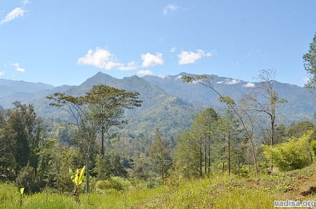 В Папуа-Новой Гвинее произошел афтершок магнитудой 6,2