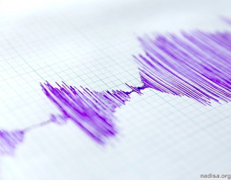У берегов Камчатки произошло землетрясение