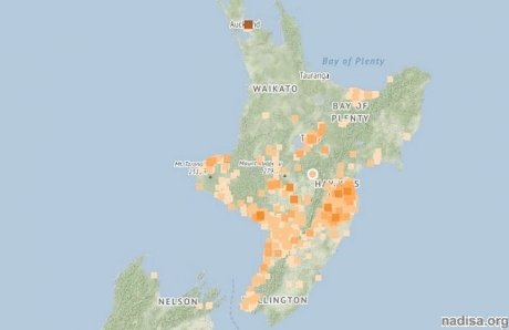 Северный остров Новой Зеландии пережил землетрясение магнитудой 5,1