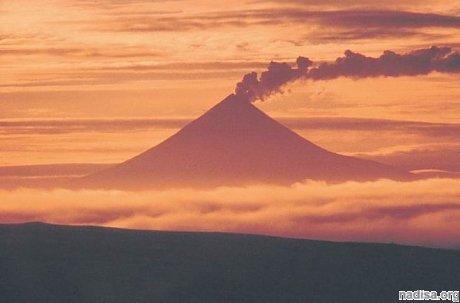 Вулкан Шишалдина на Аляске выбросил столб пепла высотой 8 км