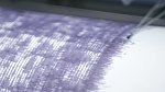 Землетрясение магнитудой 4,0 произошло на Камчатке