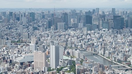 Землетрясение магнитудой 4,6 произошло в Токио