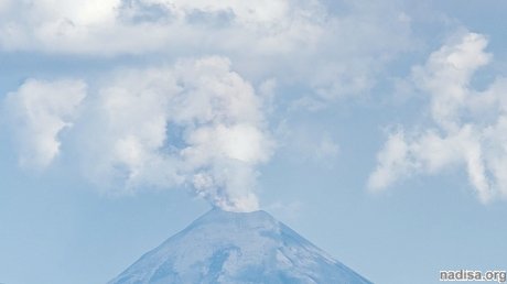 Вулкан на Камчатке выбросил пепел на высоту до 8 км