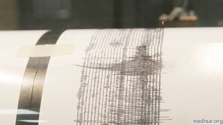У побережья Новой Зеландии произошло землетрясение магнитудой 5,6