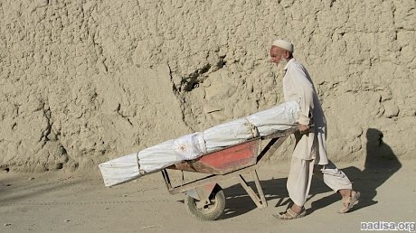 В Пакистане из-за землетрясения погибли 15 человек