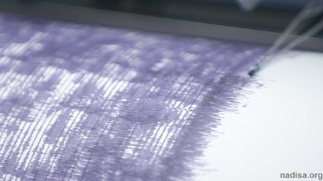 Землетрясение магнитудой 4,6 произошло в Жёлтом море