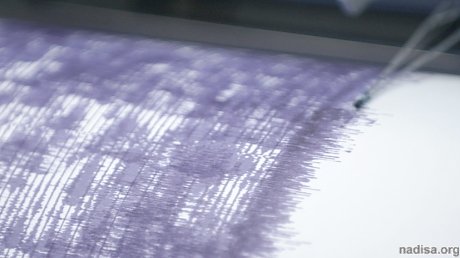 Землетрясение магнитудой 5,2 зафиксировано на Камчатке