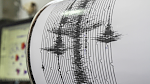 Землетрясение магнитудой 6,1 зафиксировано у побережья Аляски