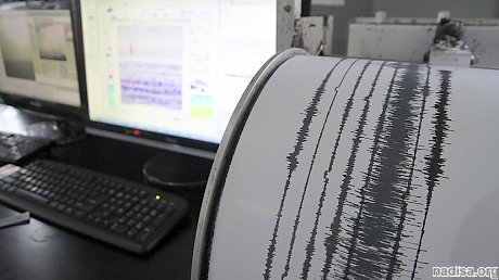 Землетрясение магнитудой 4,8 произошло в Австралии