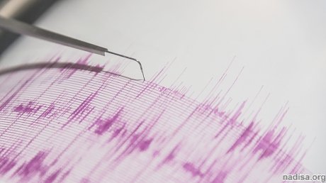 Землетрясение магнитудой 5,5 произошло у берегов Эквадора